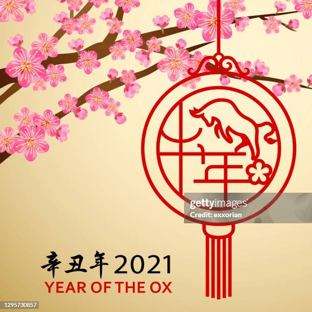 Artery8 Neujahrsgrußkarte – Year Of The Ox Design, 17,5 X 12,5 Cm, Mit Umschlag, Blanko Innen