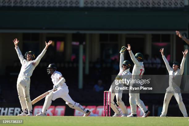 Tim Paine of Australia appeals for the wicket of Ravichandran Ashwin of India during day five of the 3rd Test match in the series between Australia...