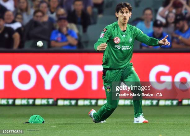 NIc Maddinson of the Stars celebrates after catching the wicket of Alex Carey of the Strikers during the Big Bash League match between the Adelaide...