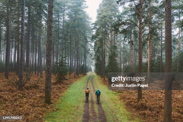 drone view of two cyclists on forest track - hobby bildbanksfoton och bilder