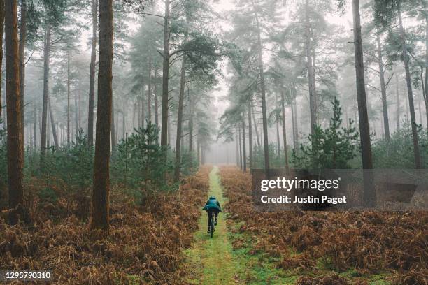 cyclist on forest track - journey pov stock pictures, royalty-free photos & images