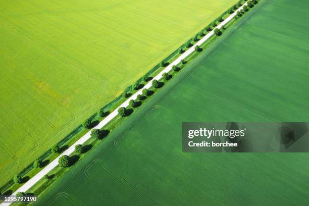 Path Background Diagonal Diagonal Path Photos and Premium High Res Pictures - Getty Images