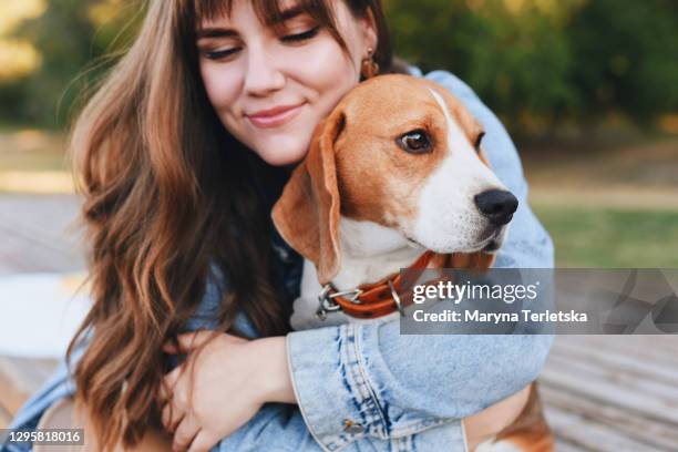 beautiful girl hugs a beagle dog. - beagle stockfoto's en -beelden