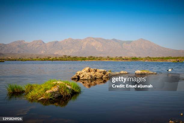 Awash Volcano 99 Awash National Park Stock Photos, High-Res Pictures, and Images ...