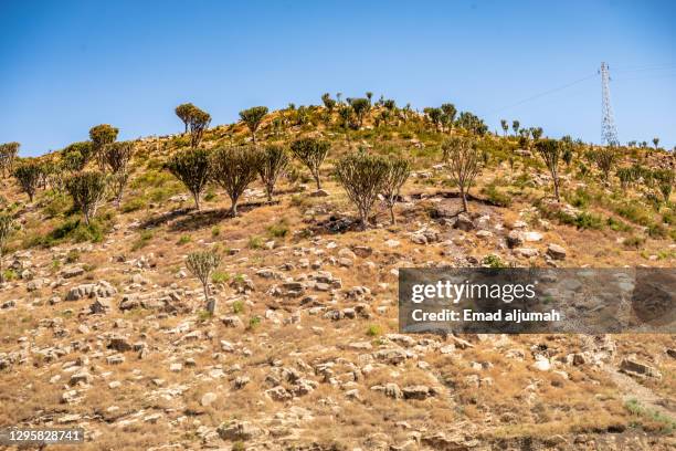 Harar Rocks Harar Valley Photos and Premium High Res Pictures - Getty Images