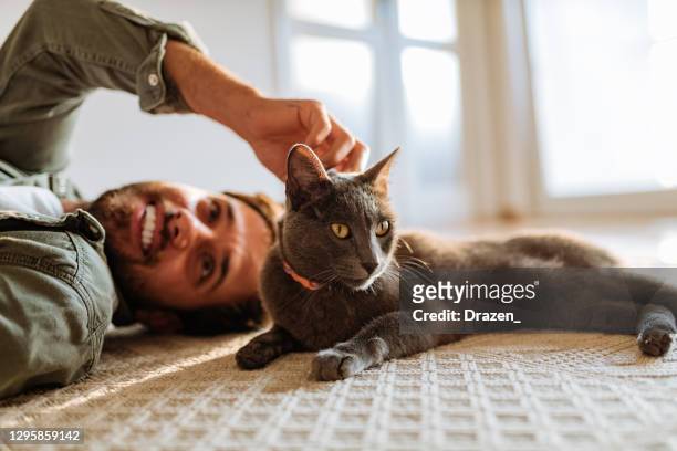 man och katt hemma leker på golvet och gosar under nedstängningen - russian blue katt bildbanksfoton och bilder
