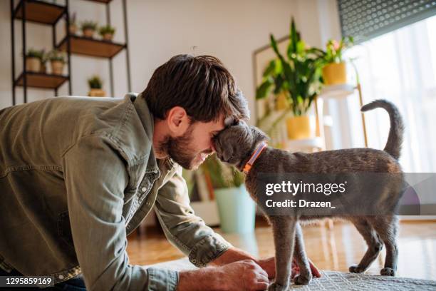 überwindung psychischer probleme mit haustieren - feline stock-fotos und bilder