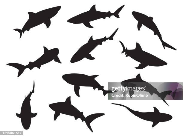 shark silhouettes - shark stock illustrations