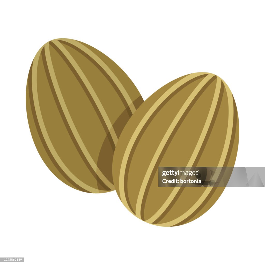 Celery Seed Spice Icon