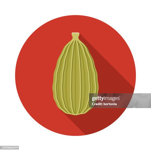 cardamom spice icon - cardamom stock illustrations