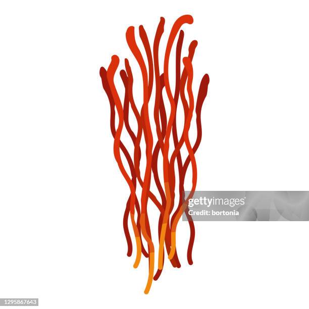 saffron spice icon - crocus stock illustrations