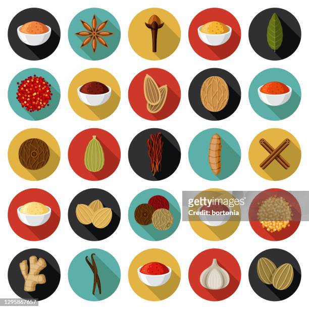illustrations, cliparts, dessins animés et icônes de ensemble d’icônes d’épices - plante tropicale