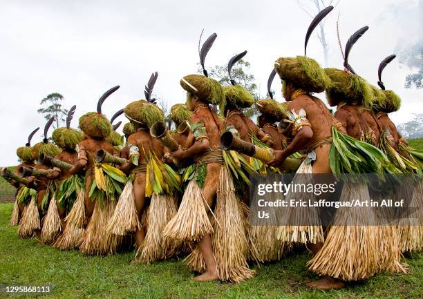 Enga History 48 Enga Tribe Stock Photos, High-Res Pictures, and Images - Getty Images