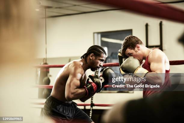 male boxers practicing in boxing ring at health club - boxeur photos et images de collection