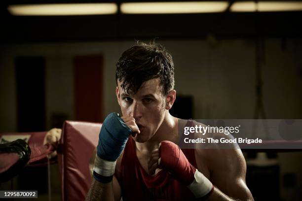 portrait of confident male boxer practicing in boxing ring at health club - ring fight bildbanksfoton och bilder