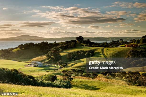 waiheke countryside - new zealand and farm or rural stock pictures, royalty-free photos & images