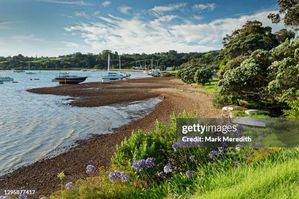 okahuiti creek - waiheke island stock pictures, royalty-free photos & images