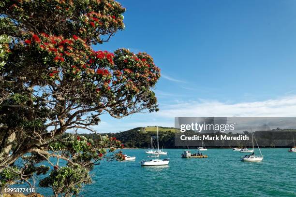 okahuiti creek on waiheke island - waiheke island stock pictures, royalty-free photos & images