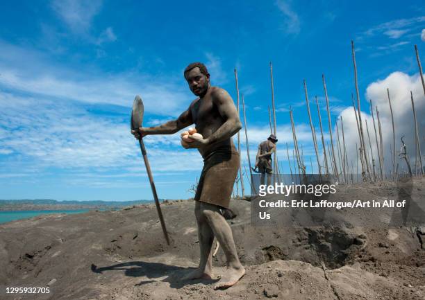 Man digging to find megapode birds eggs in Tavurvur volcano ashes, East New Britain Province, Rabaul, Papua New Guinea on September 30, 2009 in...