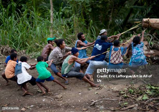 People pulling a traditional canoe in the forest, Milne Bay Province, Alotau, Papua New Guinea on October 3, 2009 in Alotau, Papua New Guinea.