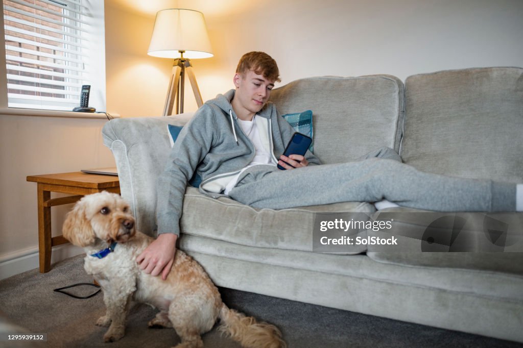Relaxing on the Sofa