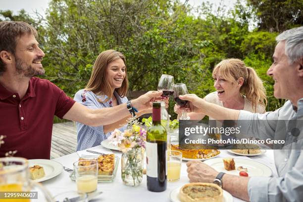 happy family toasting wine glasses - schoondochter stockfoto's en -beelden