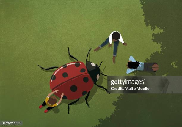 kids playing with large ladybug in grass - above stock illustrations
