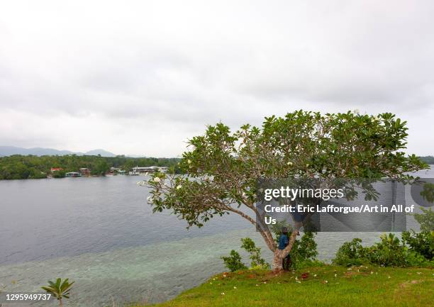 View on the bay, Autonomous Region of Bougainville, Bougainville, Papua New Guinea on October 10, 2009 in Bougainville, Papua New Guinea.