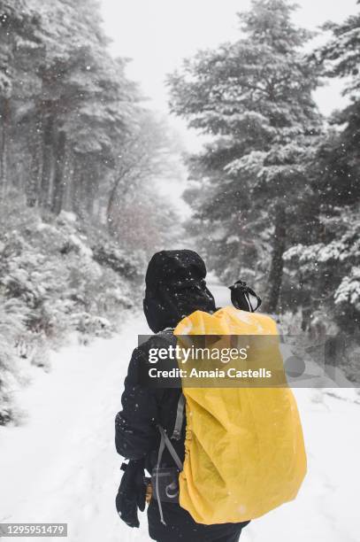 hombre de espaldas bajo la nieve en la sierra de guadarrama en madrid - hombre de espaldas foto e immagini stock