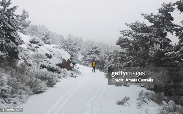 hombre de espaldas practicando raquetas en la sierra de guadarrama en madrid - hombre espaldas stock-fotos und bilder