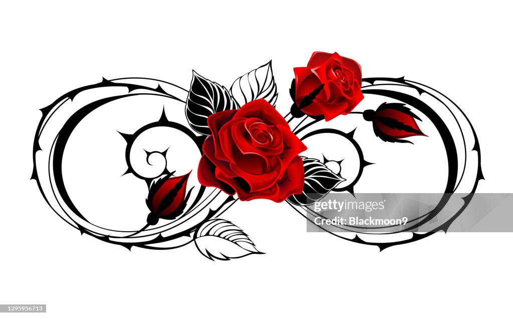 Infinity Rose Vector Image Infinity Outline Symbol With Rose High-Res Vector Graphic - Getty Images
