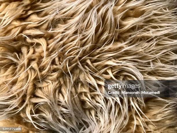 woolen background - fell stock-fotos und bilder