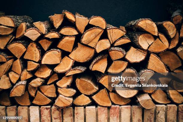 firewood for the winter on the front of backyard. - brennholz stock-fotos und bilder