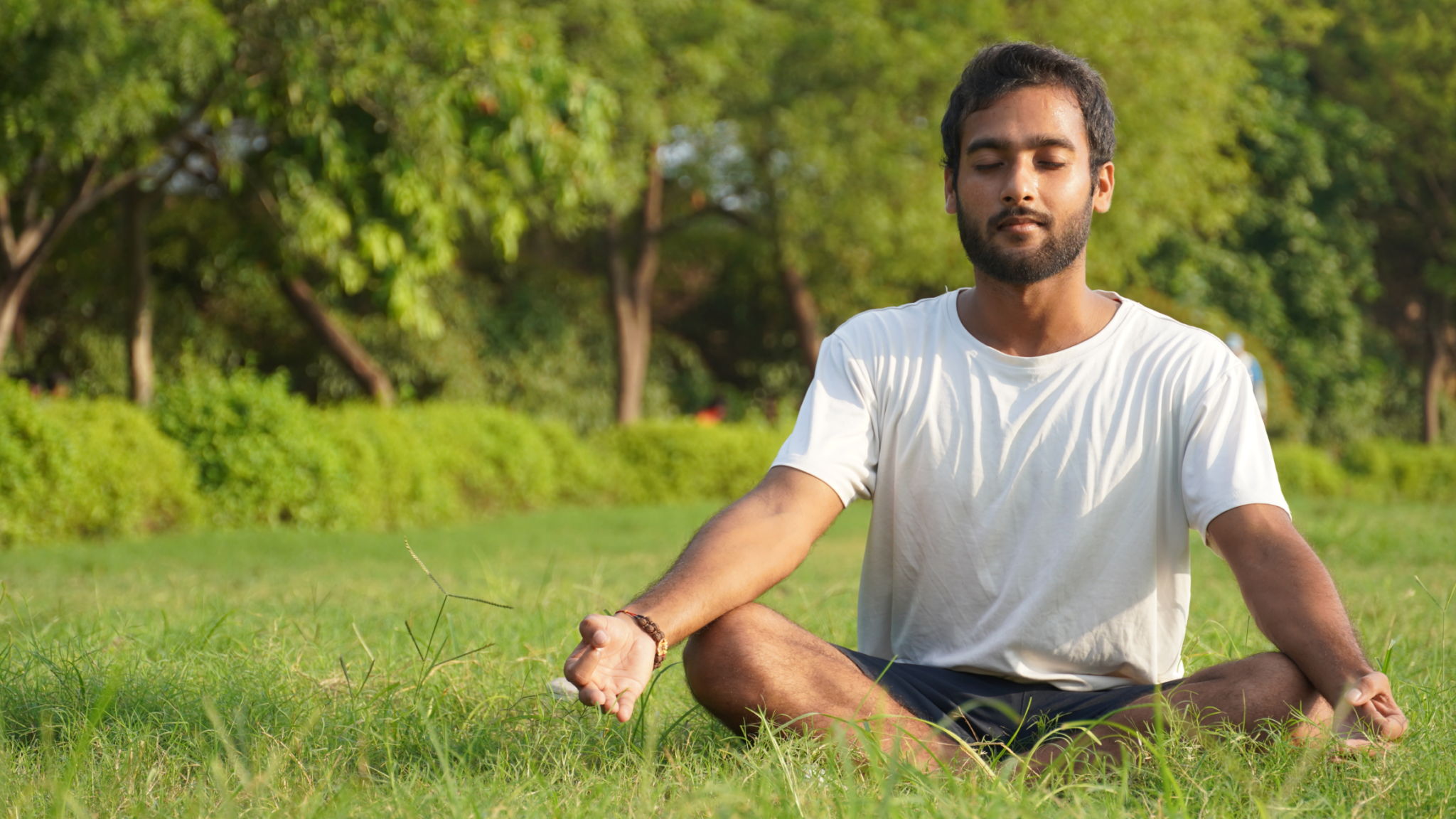 india wellness