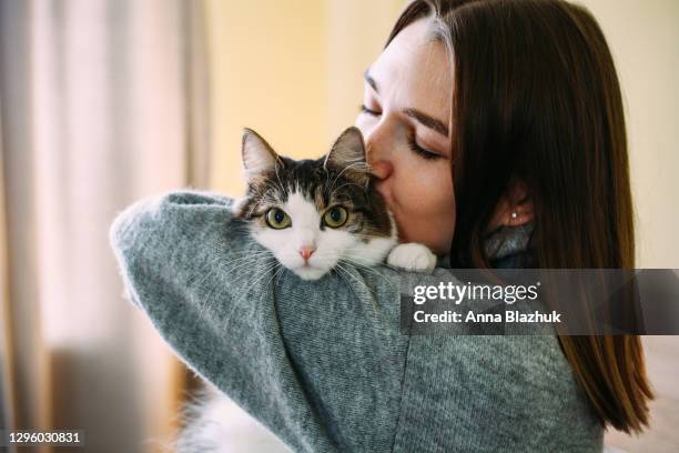 woman at home holding her cat in hands, cozy home and pets. cute funny animal. - feline photos et images de collection