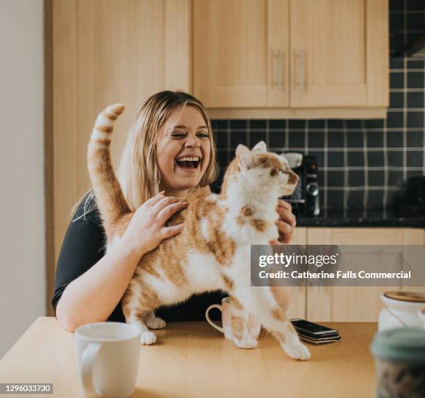 woman stroking cat on a kitchen table - cat purring stock pictures, royalty-free photos & images