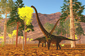 Mamenchisaurus Dinosaur Eating