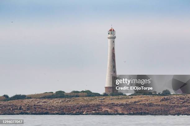 view of lighthouse in gorriti island, punta del este, uruguay - maldonado uruguay foto e immagini stock