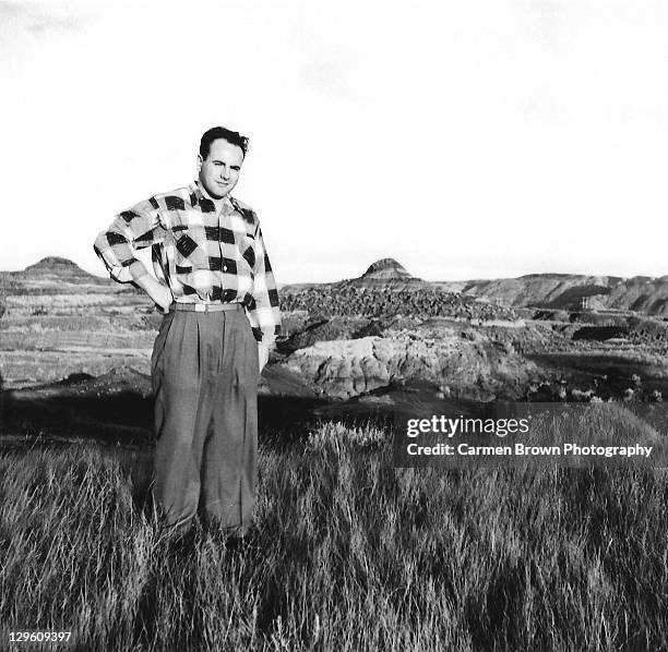 young confident man standing on hill side - mani in tasca 1950 foto e immagini stock
