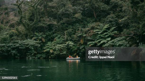 father and child paddling packraft on jungle river, okinawa, japan - explore jungle stock pictures, royalty-free photos & images