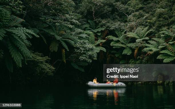 father and child paddling packraft on jungle river, okinawa, japan - family greenery bildbanksfoton och bilder