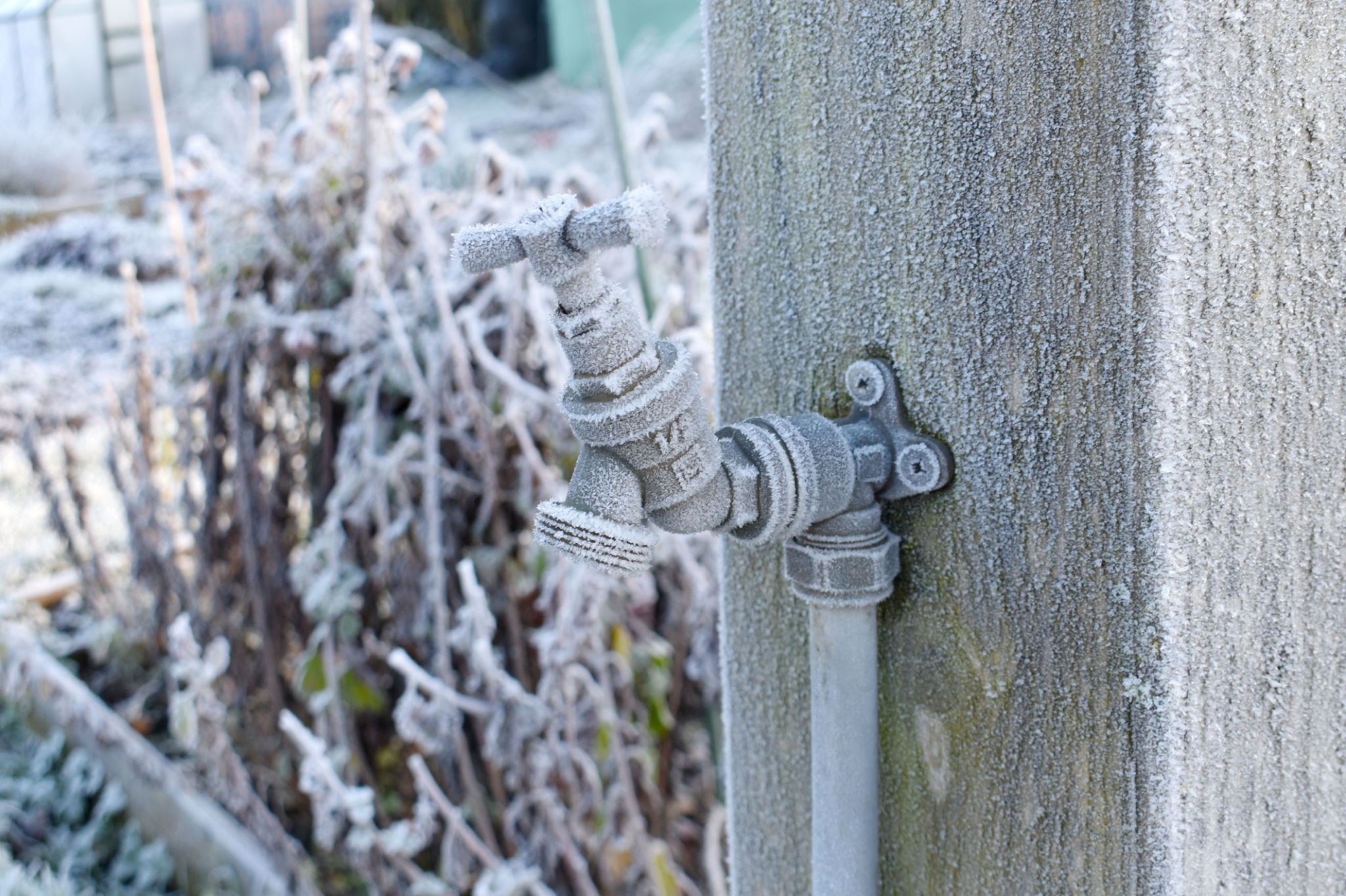 winter plumbing