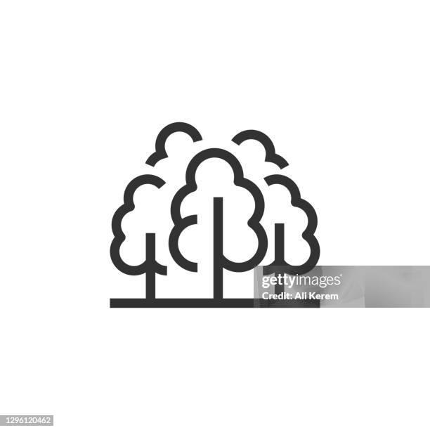 forest line icon - baum icon stock-grafiken, -clipart, -cartoons und -symbole