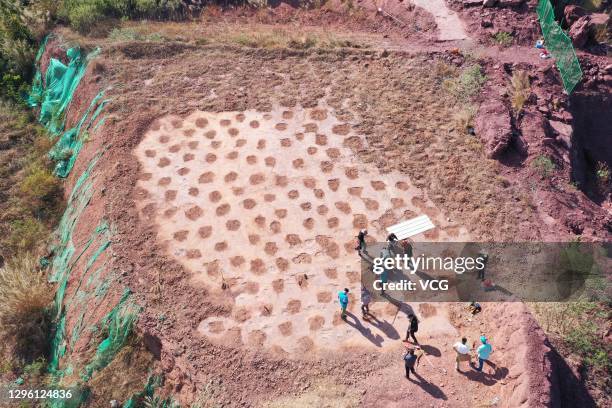 Aerial view of over 240 fossilized dinosaur footprints dating back about 80 billion years to the Upper Cretaceous period on November 10, 2020 in...