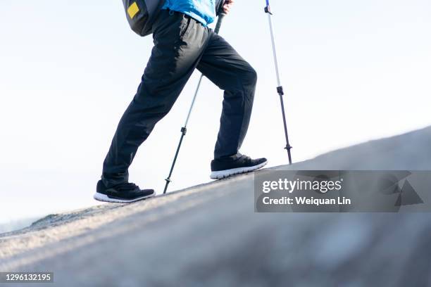 person climbing - 登山用ストック ストックフォトと画像