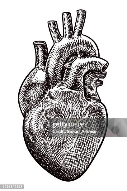 12 254点の心臓イラスト素材 Getty Images 12 254点の心臓イラスト素材 Getty Images