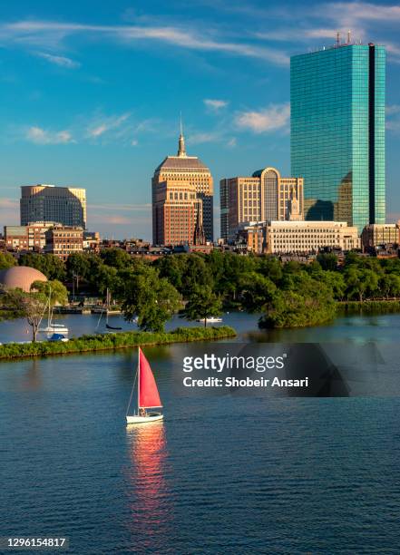 single-handed sailing in charles river, cambridge, massachusetts - cambridge massachusetts foto e immagini stock