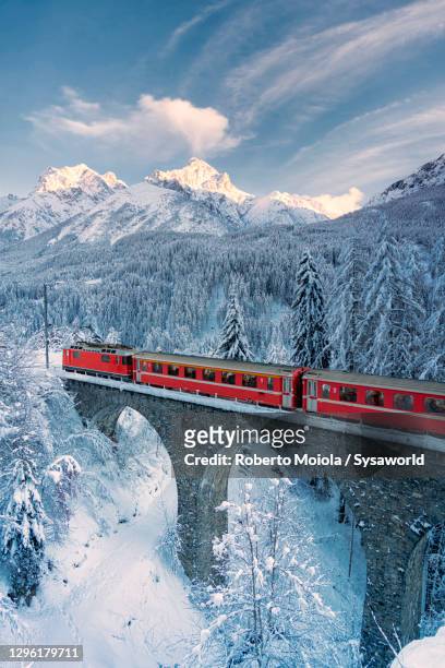 bernina express train in the snowy forest, switzerland - zwitserse cultuur stockfoto's en -beelden