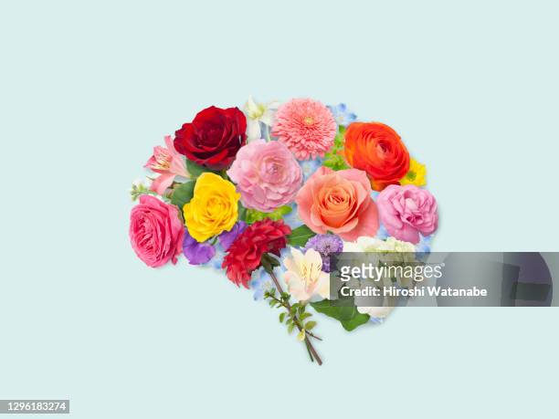 an organ made from a collage of flower petals and leaves. (brain) - cómodo conceptos fotografías e imágenes de stock
