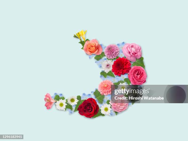 an organ made from a collage of flower petals and leaves. (stomach) - ranunculus stock pictures, royalty-free photos & images